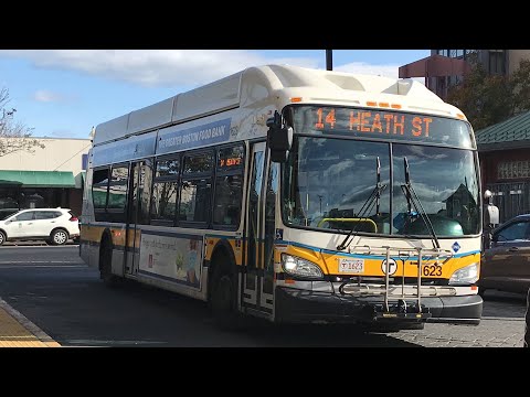 Spurious Shot! | Yoshi's Ride Series {S14-E06} - Riding the 14 🚌 - {MBTA}