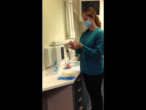 Types of examination gloves that a dental assistant wears