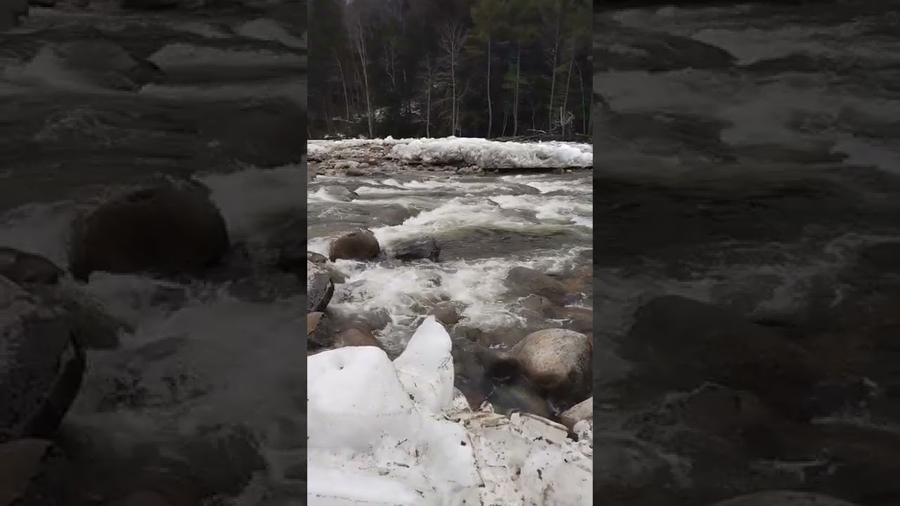 Wild River (Spring meltwater 3/26/22)