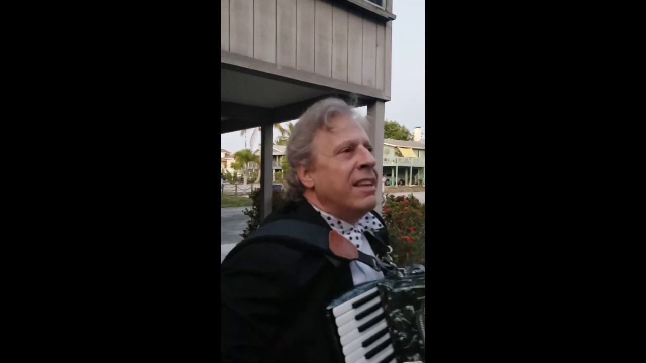 Promotional video thumbnail 2 for Accordion Music by Richard Watts