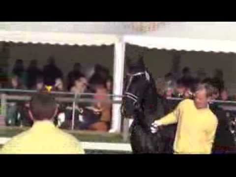 DELOREAN - Kat. Nr. 12 von Dancier - Weltmeyer