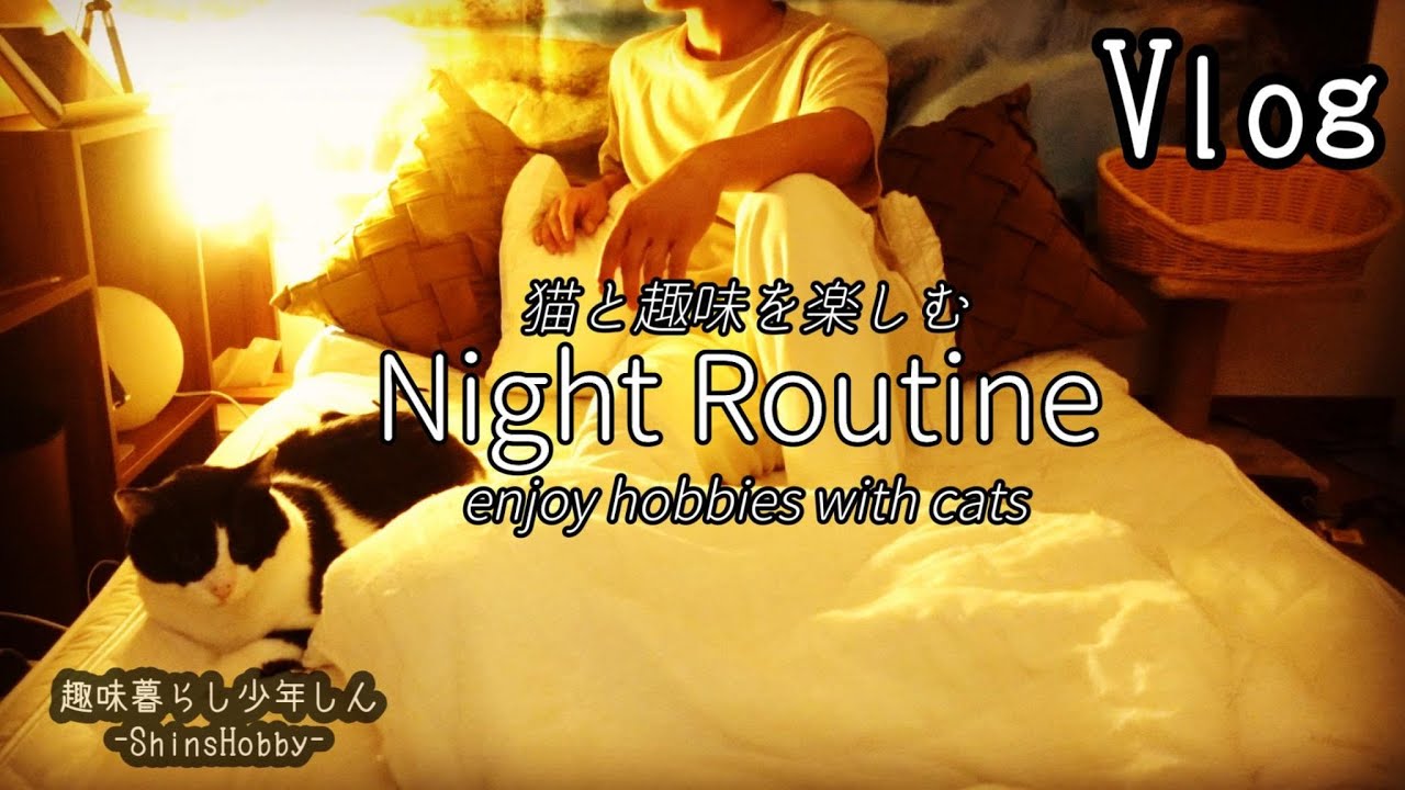 【ナイトルーティン】猫と趣味を楽しむ一人暮らし社会人（男）の仕事終わりの過ごし方 (Night Routine)