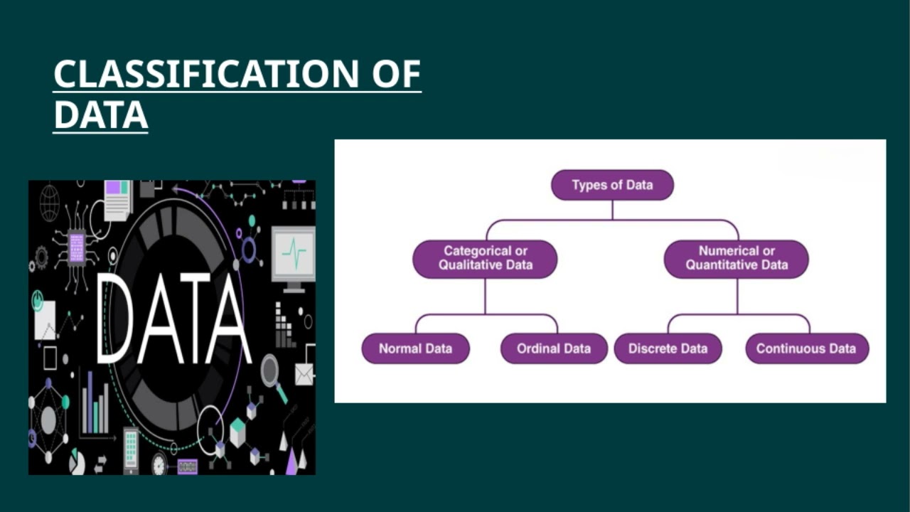 Data types in Statistics