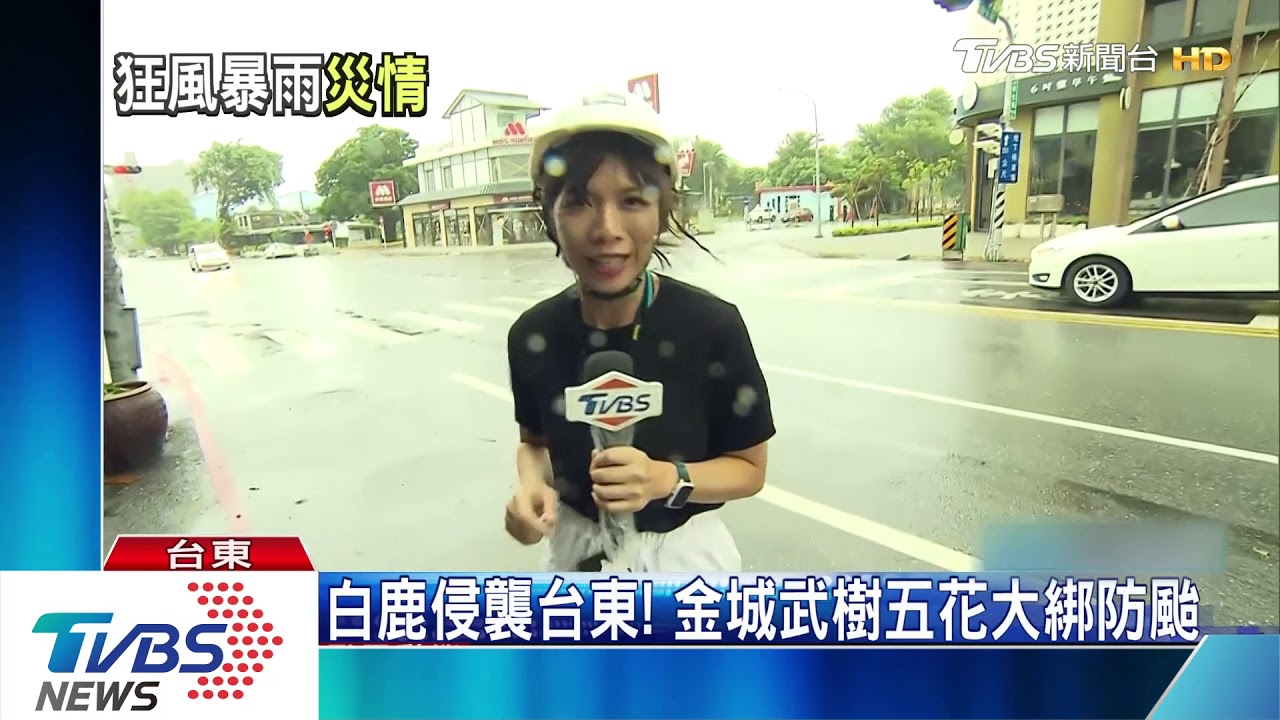 台東關山水淹半輛車 11級風吹倒路樹香蕉園
