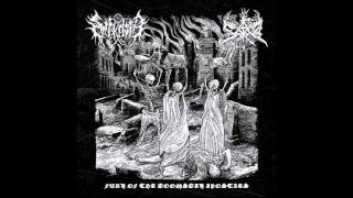 Sarkrista - Behold Perdition!