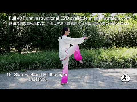 48 Form Tai Chi Demonstration Master Amin Wu 吳阿敏48式太極拳