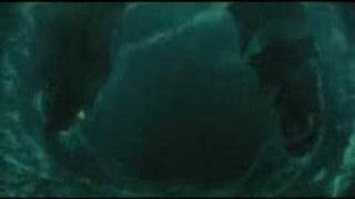 Pirates raise the sails