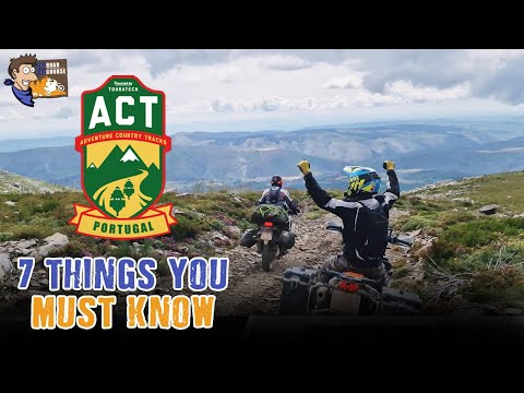 ACT Portugal - The 7 things you should know