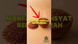 Download lagu Rahasia Beras Merah: Turunkan Kolesterol & Cegah Diabetes Secara Alami! mp3 Download lagu Rahasia Beras Merah: Turunkan Kolesterol & Cegah Diabetes Secara Alami! mp3