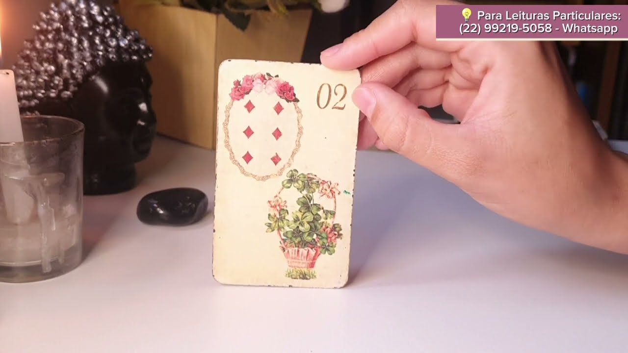 O que VOCÊ precisa SABER AGORA? ✨️💡🐈