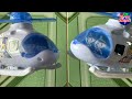 Máy Bay Trực Thăng đồ Chơi Dành Cho Trẻ Em Helicopter Toy For Kids