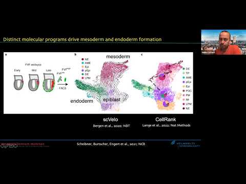 SCOG Virtual Lecture Series - Heiko Lickert (Helmholtz Munich)