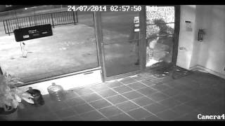 Воришка неудачник перепутал двери - Видео онлайн