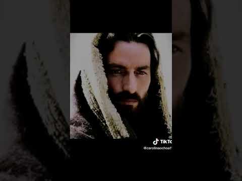 Codigo#18 Quienes entienden #49codigos #lalogicadelalogica