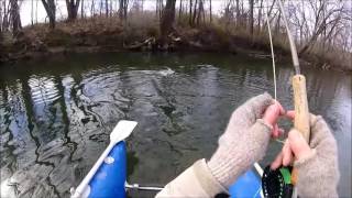 Niangua River - Browns, Bows and Smallies