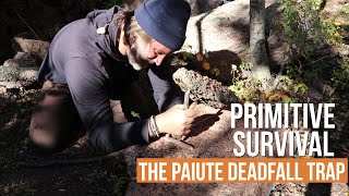 How to Make Primitive Deadfall Trap: Catch and Cook Rabbit and Squirrel