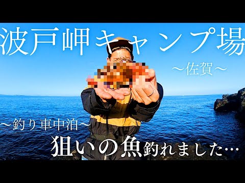 Cuando pasé la noche en mi coche de pesca en el camping Cape Hado en Saga... pesqué el pez que buscaba y una captura inesperada...