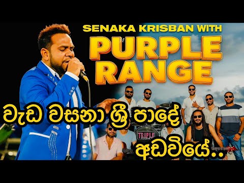 වැඩ වසනා ශ්‍රී පාදේ ජයන් ජයනාත් purple range