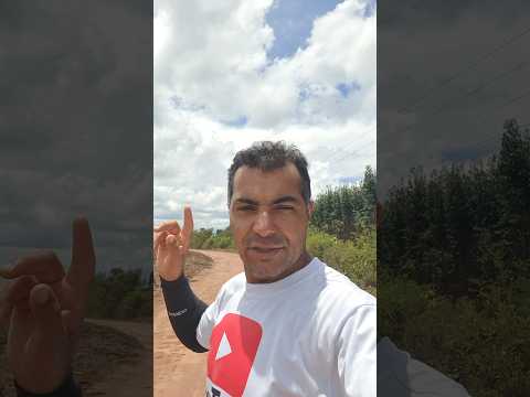 PEQUI A BEIRA DA ESTRADA RURAL MINAS GERAIS, MUNICÍPIO DE VEREDINHA MG , SENTIDO CARBONITA MG