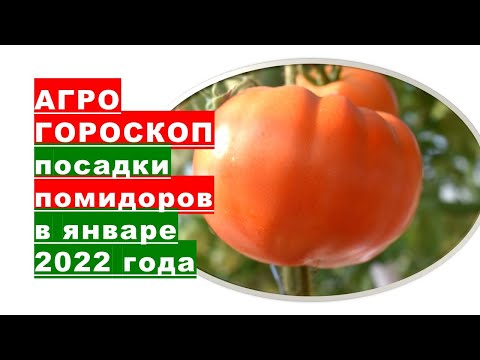 , title : 'Агрогороскоп посева семян помидоров на рассаду в январе 2022 года'