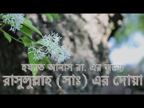 হযরত আনাস রা  এর জন্যে রাসুলুল্লাহ সাল্লাল্লাহু আলাইহি ওয়া সাল্লামের দোয়া : মাওলানা ইমরান হাসান