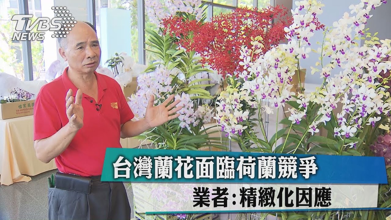 台灣蘭花面臨荷蘭競爭 業者:精緻化因應