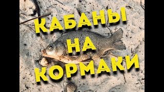 Места ловли карпов в сентябре 2020
