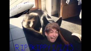 Only The Good Die Young #RIPSkippy (a tribute to Alex Gaskarth and his dog)