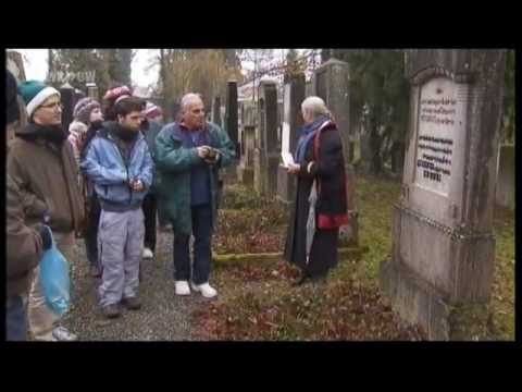 Straßburger's Journey in Ulm and Bad-Buchau