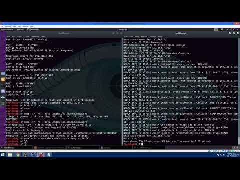 6  ARP ping scans and host discovery