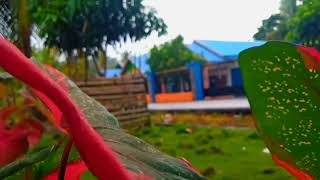 Download lagu Cinematic 30 detik || DJ Lagu Dangdut Hanya Dia viral tiktok mp3