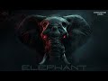 Christopher Ladex - ELEPHANT