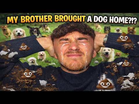 CONNOR'S HOUSE TURNS INTO A ZOO | NEW TEETH | CHAOS FOOTBALL GAME