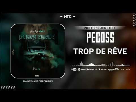 (04).PECOSS - TROP DE RÊVE (BLACK EAGLE 1ère PARTIE)