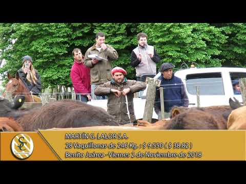 02-11-18 Venta de Hembras - Martin G. Lalor S.A. - Benito Juárez