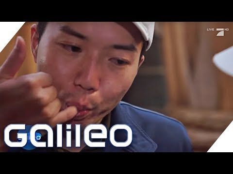 So entsteht die beste Sojasauce der Welt | Galileo | ProSieben