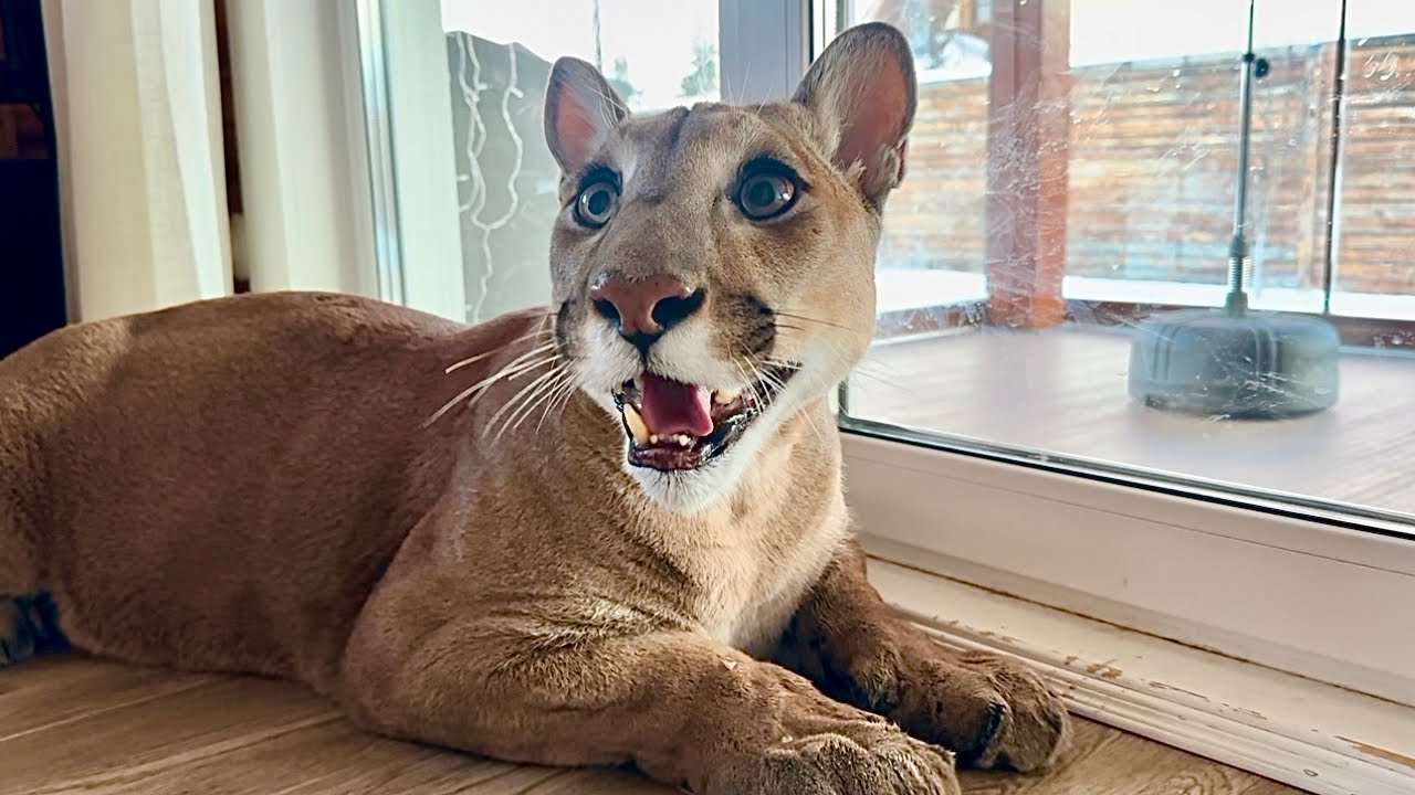 Вот это подарки для Месси!🔥 С Новым годом!