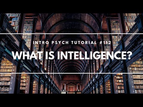What is Intelligence? (Intro Psych Tutorial #112)