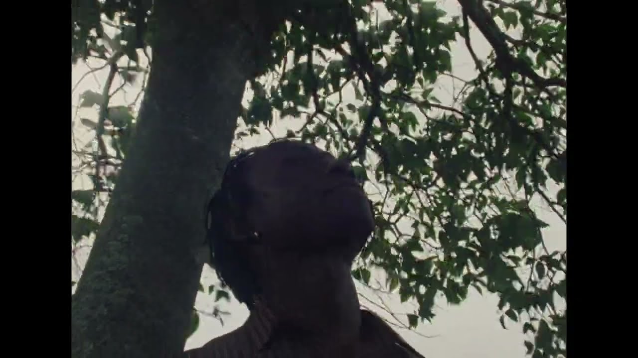 Substack on Film: David Larbi