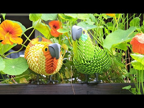 Kleiner Papagei / Sittich - Small parrot / parakeet tutorial, Origami 3d, Bauanleitung , 摺紙 , 折り紙