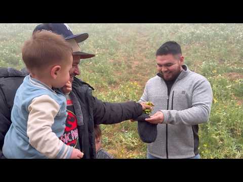 Meeting @Carlos_y_Alondra Day 3/4 ❤️🇲🇽❤️ Fresh Peas, Mole Poblano & Saying Goodbye-Living in Mexico