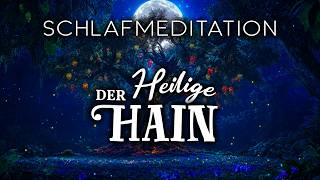 Traumreise für Urvertrauen & Erdung: Der Heilige Hain im Dschungel