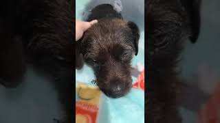 Nadiya Update! Nadiya Update!