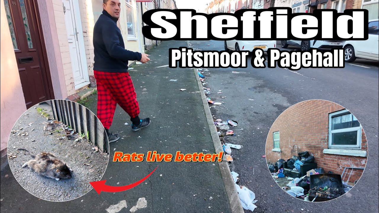 SHEFFIELD - RAT Infested Streets! The People Have Had Enough. (The UK Is Finished)