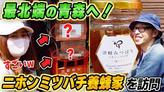 ニホンミツバチ最北端の地 青森県津軽地方で養蜂する福地さんを訪ねる！