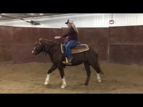 UWRF Tinkerforsmarts