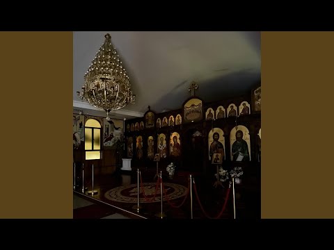 In the midst of desert beauty