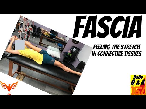 Fascia - Connective Tissues -  Feeling a Stretch - BillHartmanPT.com Q&A for The 16%
