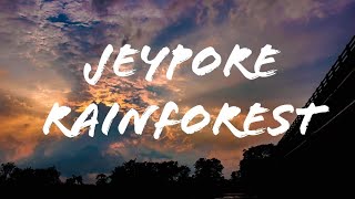 preview picture of video 'Cinematic video || Trip to jeypore rainforest ||'