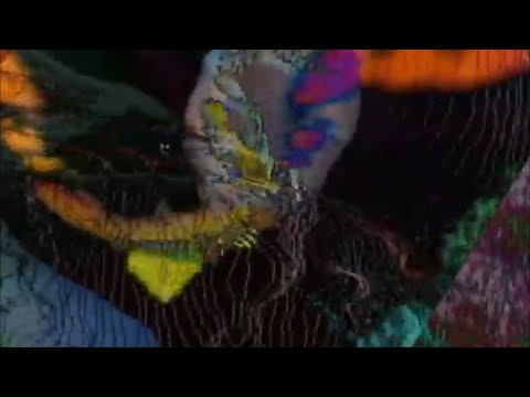 Tepid Waters Warming... ( #live )